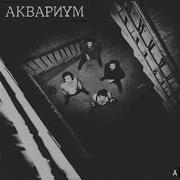 Всё Что Я Хочу