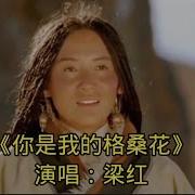 我是你的格桑花 海
