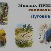 Аудиосказки Пришвин