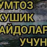 Эски Классик Кушиклар