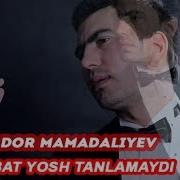 Sardor Mamadaliyev Muxabbat Yosh Tanlamaydi Yangi 2017