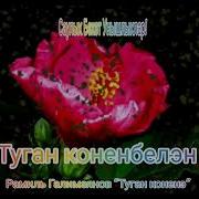 С Днем Рождения Мама На Татарском Языке Песня