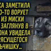 Заглянув В Будку Она Увидела Увидела Там