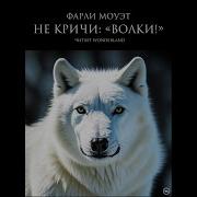 Не Кричи Волки Аудиокнига