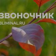 Саблиминал Здоровый Позвоночник