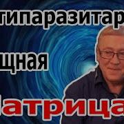 Настоящая Матрица Гаряева Антипаразитарная Программа