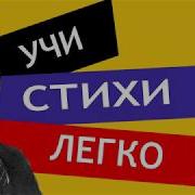Густой Зелёный Ельник У Дороги