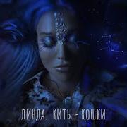 Киты Кошки Relax Video Version Линда