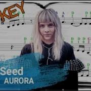 Aurora The Seed Violin