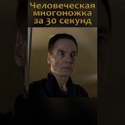 Многоножка Из Людей