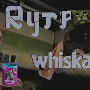 Реклама Вискас Рутп