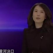 凤凰大视野 大河上下 花园口事件实录