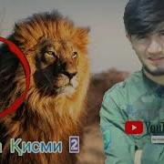 Bs Firik Лайли Бе Падар Беҳтарин Репи Ошиқи 2019