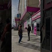 Дагестанец Про Цветы