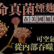 星島頭條新聞