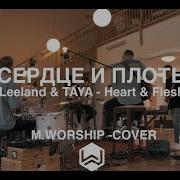 Сердце И Плоть