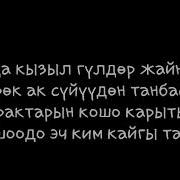 Мурадил Данияров Омур Ай Текст Менен