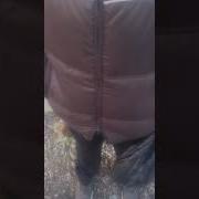 Анекдот Про Ушастых Людей