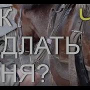 Седлай Коня