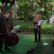 Кот Самсон Прописан В Центре