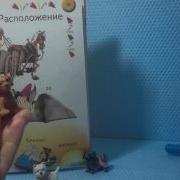 Собачка Учит Формы