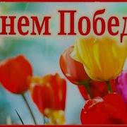 С 9 Мая Поздравляем