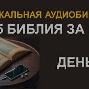 День 38 Библия