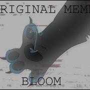 Bloom Meme Animation