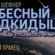 Шефнер Небесный Подкидыш