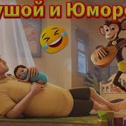 Муж В Декрете Танцевальные Песни В Стиле Шансон С Юмором
