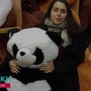 Купила Подарок Подруге Плюшевую Панду