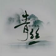 青丝Dj小瑞版
