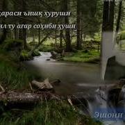 Мо Бо Ки Нишинем Ки Ёрон Ҳама Рафтан