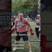 Даги И Чеченцы Бои Без Правил
