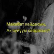 Сайкал Садыбакасова Кой Дебедим