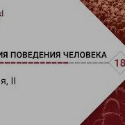 Агрессия 2