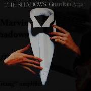 The Shadows I Will Return