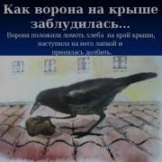 Носов Как Ворона На Крыше Заблудилась
