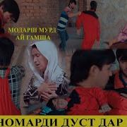 Мехрангез Модар 2019