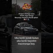 Жигарим Укам Тугилган Кунинг Муборак