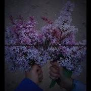 Импульсы Remix Saripov