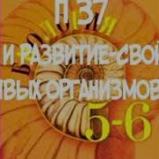 5 6 Класс П 37 Биология