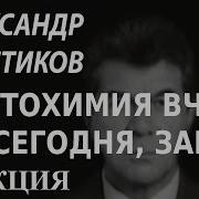 Academia Александр Толстиков