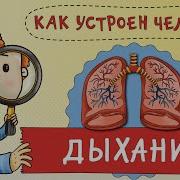Как Устроен Человек