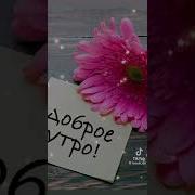 Сегодня Я Проснулась Что Бы Жить