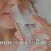 Очищение Организма От Шлаков