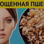 Проростки Пшеницы Польза