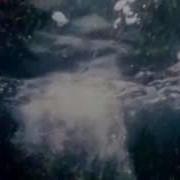 Органический Мир Океана