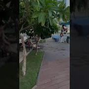 Достун Да Досу Бар