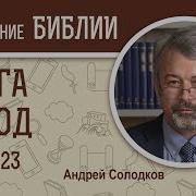 Стеняев Исход Гл 23